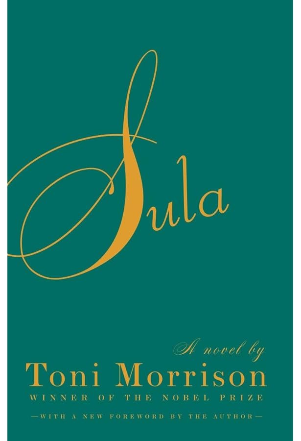 A Mercy: Morrison, Toni: 9780307264237: Amazon.com: Books